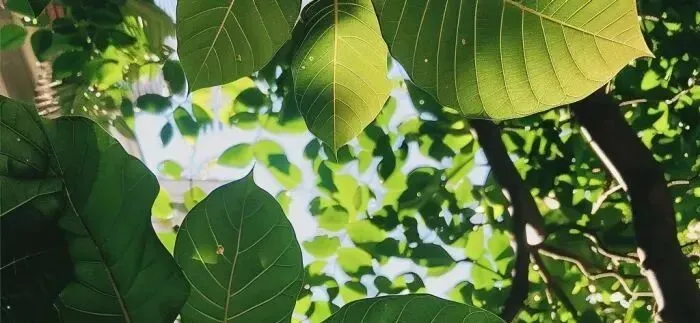 不做必然是零，行动才有可能