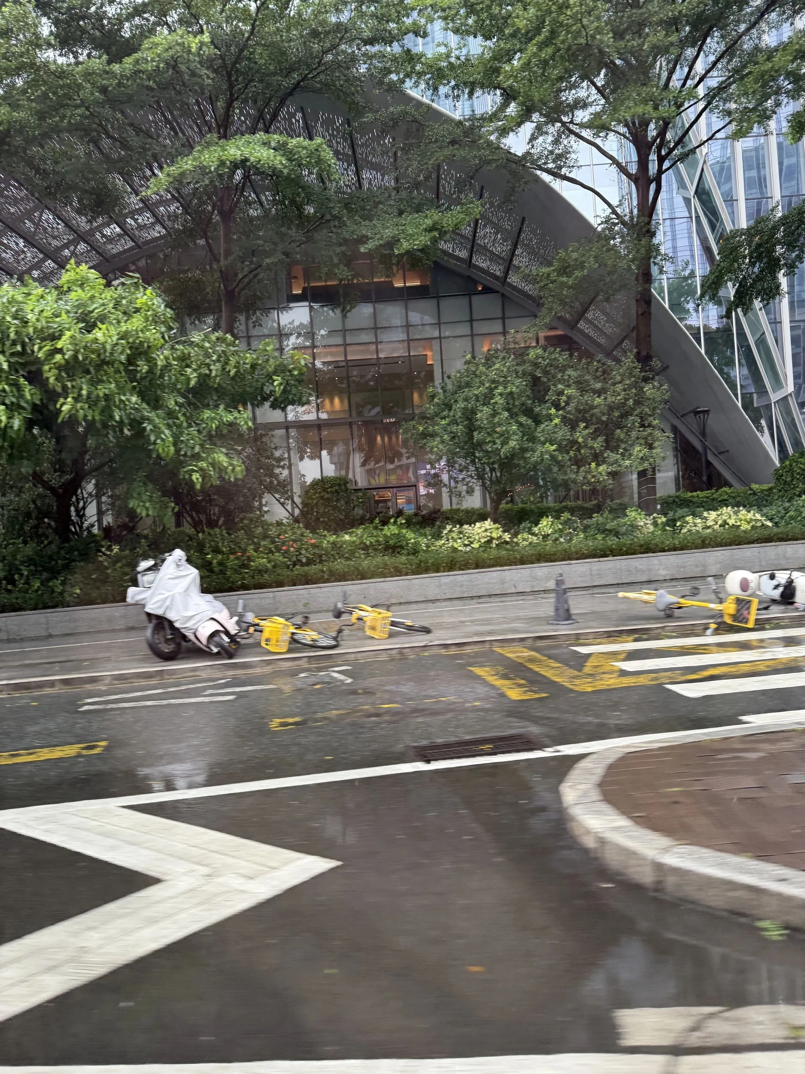 台风过境后的深圳