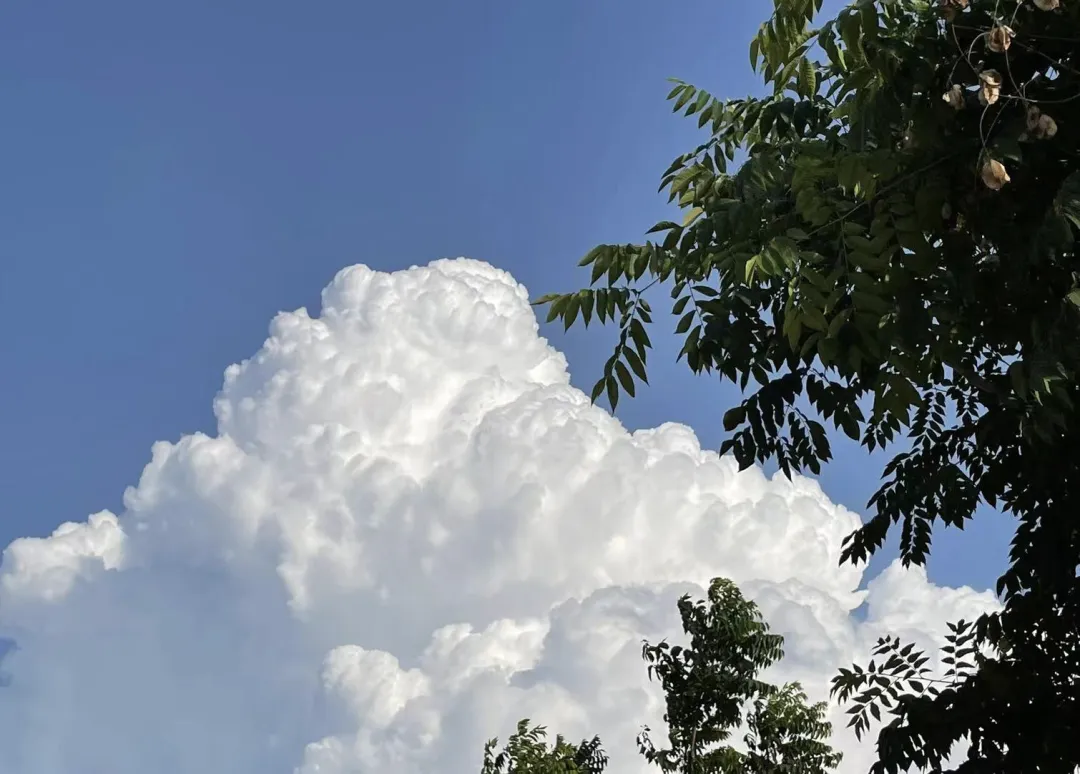 写在母亲节