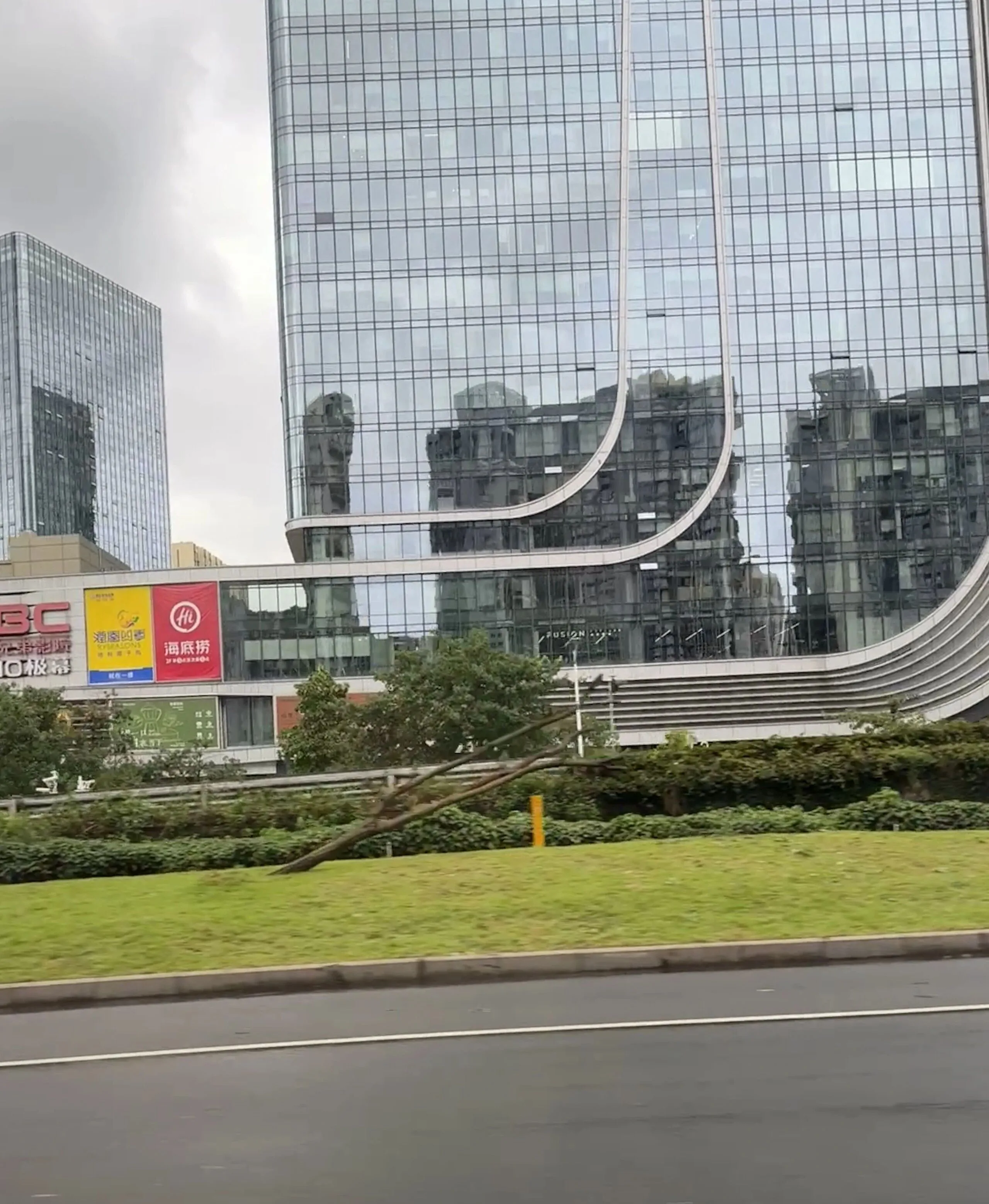 台风过境后的深圳