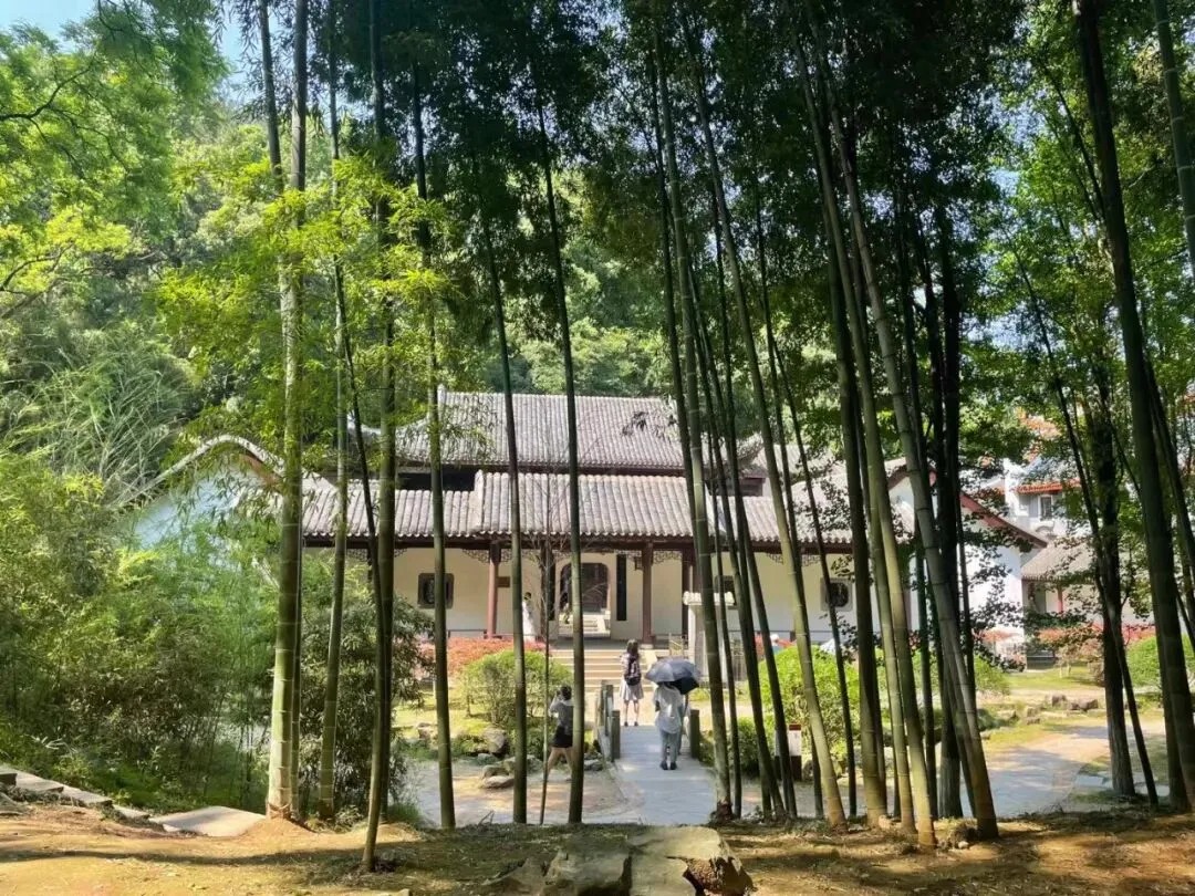 长沙三日游