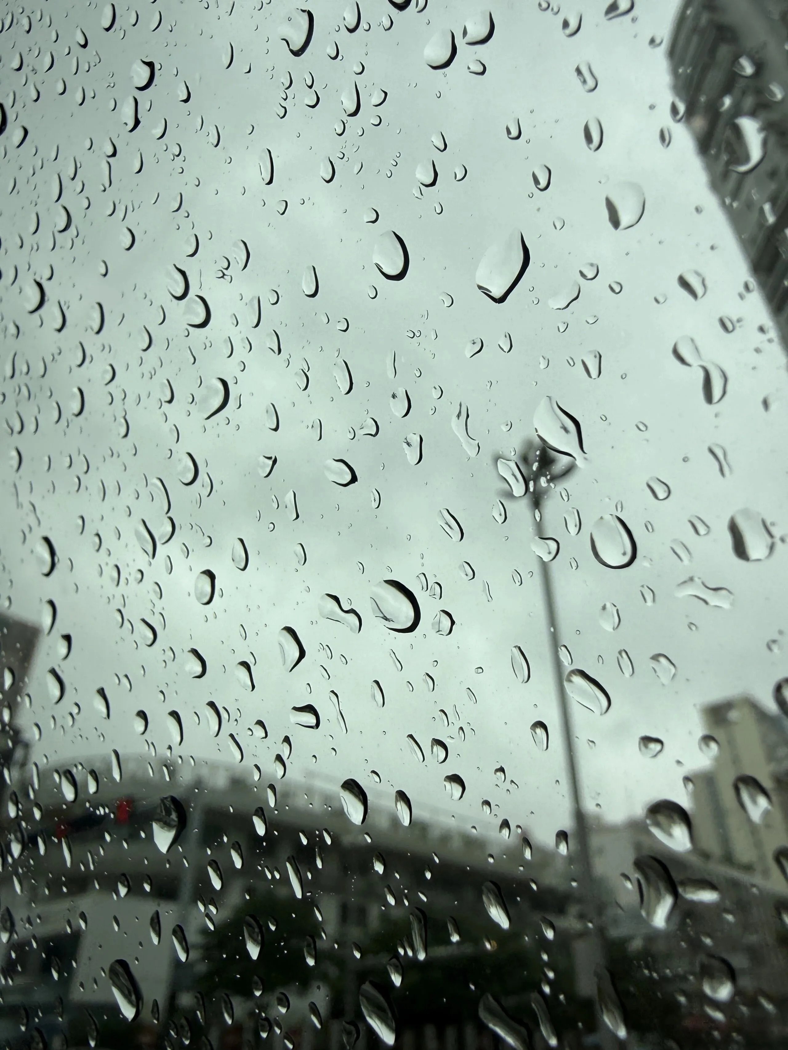 台风过境后的深圳