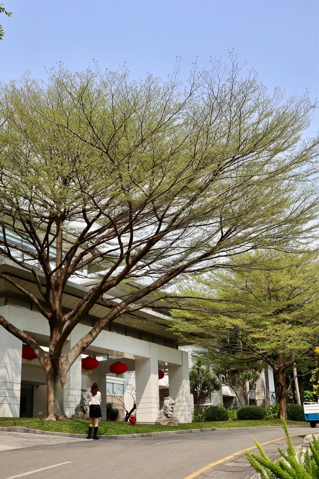 去踏青吧