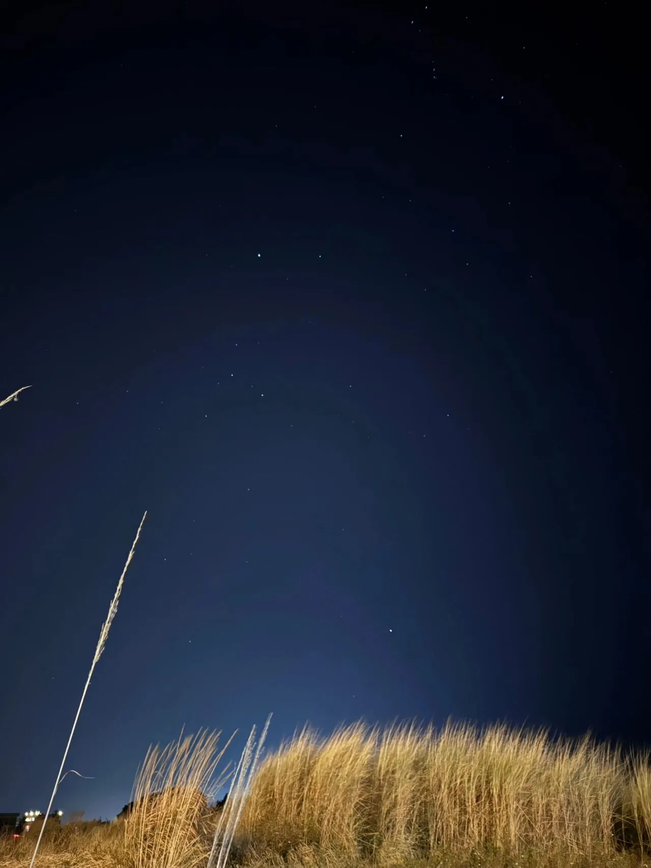 春节回乡见闻（二）：繁星与烟火