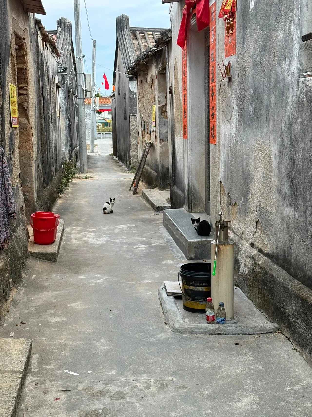春节回乡见闻（一）