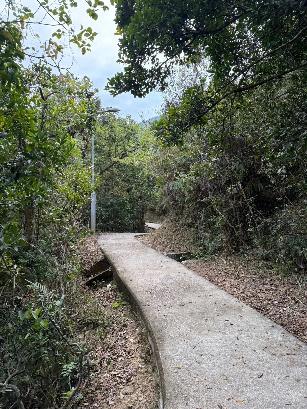 新手体验-香港麦理浩径二段（16 图）