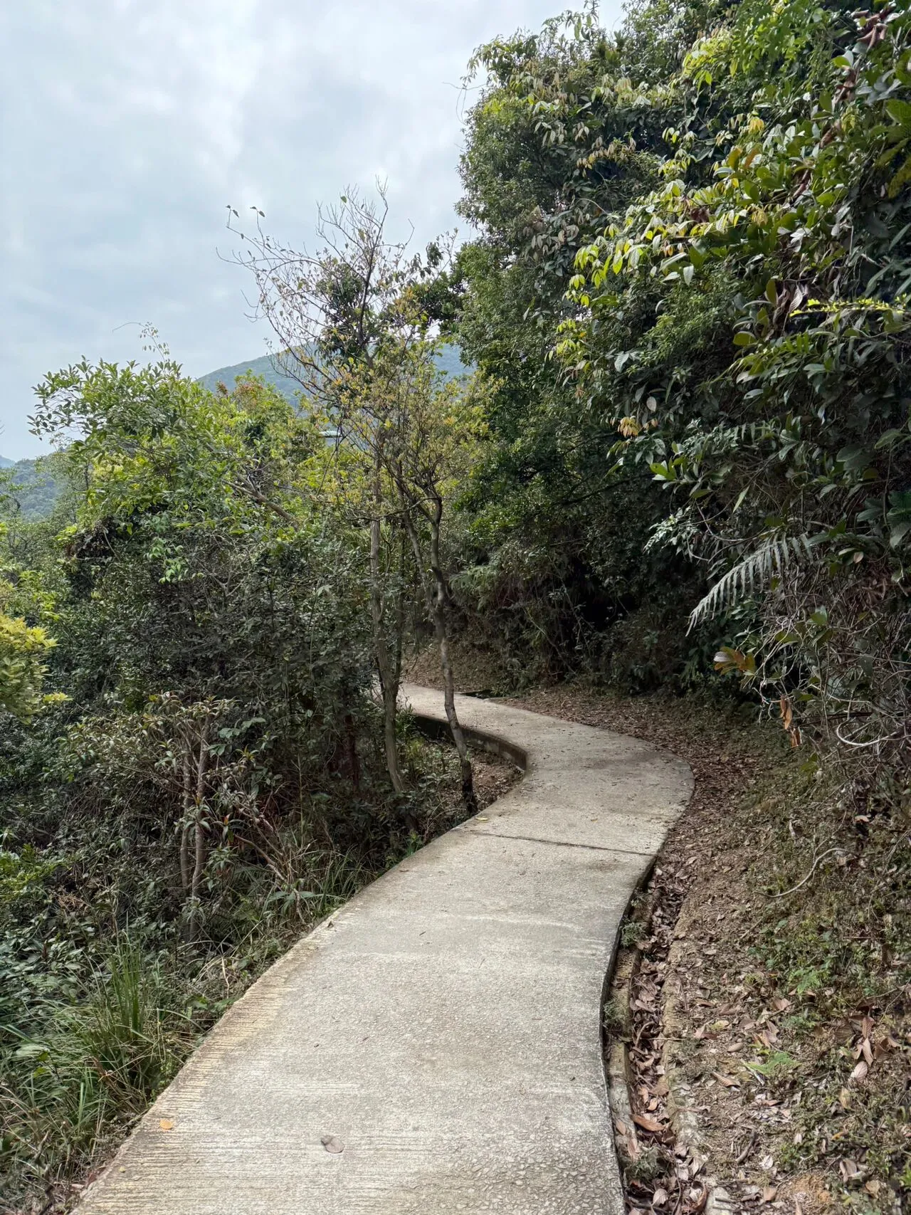 新手体验-香港麦理浩径二段（16 图）